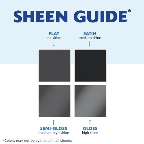 Rust-Oleum 249859 Painter's Touch 2X Ultra Cover Spray Paint, Semi-Gloss Clear , 12 Ounce (Pack of 1) Rust-Oleum