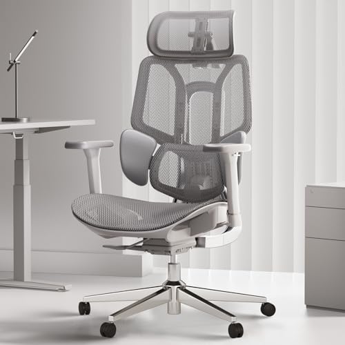 Hbada E3 Air Ergonomic Office Chair, Big and Tall Office Chair - with 3-Zone Dynamic Lumbar Support, 3D Adjustable Headrest, 3D Adjustable Armrests, Swivel, Grey(No Footrest) Hbada