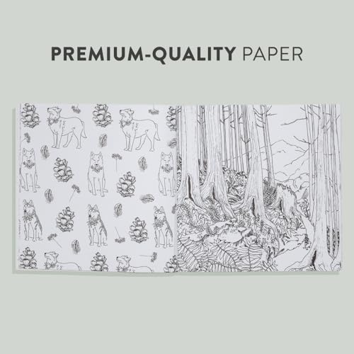 The Plant Lady: A Floral Coloring Book with Succulents and Flowers B Blue Star Press