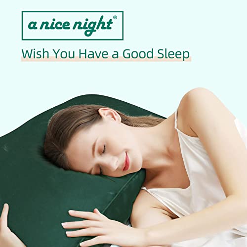 A Nice Night Satin Silky Soft Quilt Sexy Luxury Super Soft Microfiber Bedding Comforter Set Full/Queen, Light Weighted (Blackish Green, Queen) A Nice Night