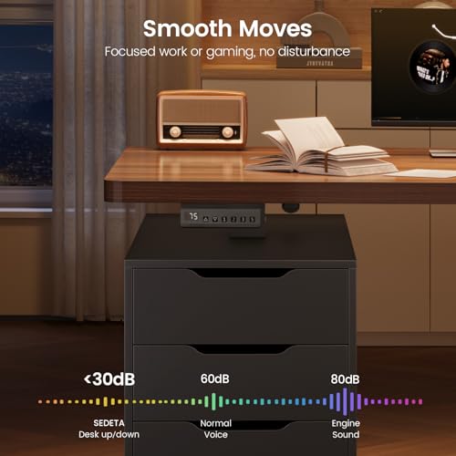 SEDETA Electric Standing Desk with 6 Drawers, 55" Adjustable Stand up Desk with Storage, Computer Desks with Power Outlets for Home Office, Black SEDETA