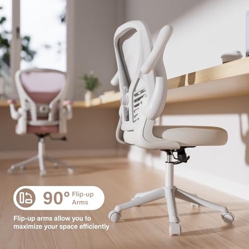 GYI Ergonomic Office Chair, Mesh Desk Chair with Adjustable Lumbar Support and 3D Flip-up Arms, Computer Chair with Wheels, All White GYI