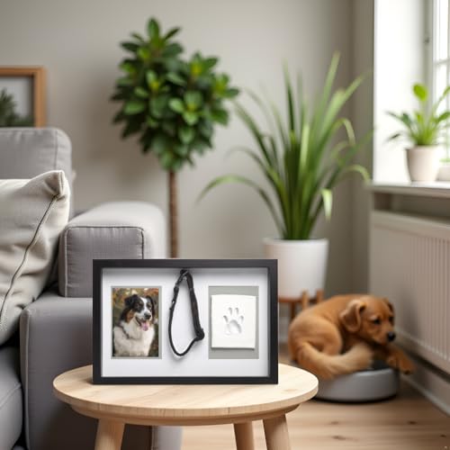 Pearhead Pawprints Collar Frame, Pet Keepsake Photo Frame, Clay Pawprint and Collar Frame, Pet Memorial Picture Frame Pearhead