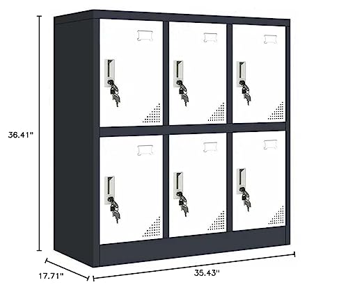 MAYROY Metal Locker Office Storage Locker Home Steel Locker School Storage Organizer, Storage Cabinet for Kids Students Employee (Gray, W6D) MAYROY