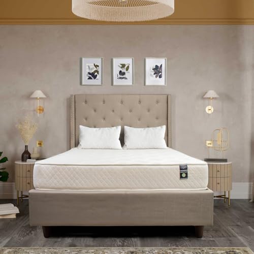 Aylas Furniture Full Size Mattress 8 Inch Full Size Foam Mattress High Density Reflex Support Layer & Visco-Elastic Comfort Foam & Premium Polyester Cover Eco-Friendly Breathable Firm Full Mattress Aylas Furniture