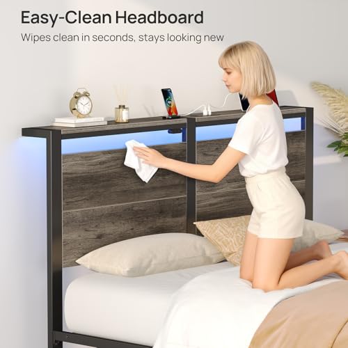 Rolanstar Full Size Bed Frame with Charging Station, LED Full Bed Frame with Wood Storage Headboard, Platform Bed with Metal Slats & Under Bed Storage, No Box Spring Needed, Noise Free, Deep Grey Rolanstar