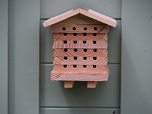 Wildlife World Interactive Wooden Bee House - Pollinator Bee Management System Wildlife World
