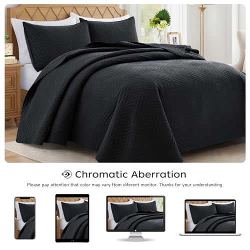 Lavsiry Black Quilt Queen Size with Striped Pattern, Lightweight Soft Summer Thin Microfiber Bedspread & Coverlet Bedding Set for All Seasons - 3 Piece(1 Quilt, 2 Pillow Shams) Lavsiry