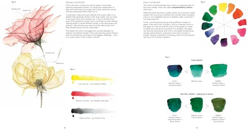 How to Paint Transparent Watercolour Flowers WoodArtSupply