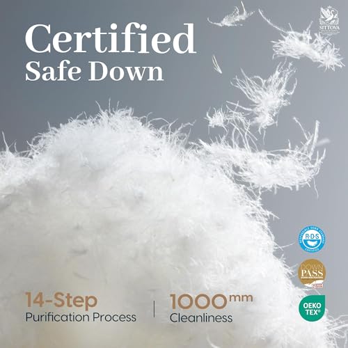 Goose Down Fiber Comforter Queen Size – All-Season Hotel Quality Duvet Insert, High Fill Power, Ultra Soft 100% Cotton, Box-Stitched, Breathable, Lightweight Luxurious White Bedding, 90"x 90" Sittova