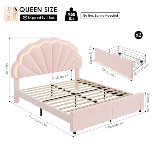 HIFIT Velvet Queen Smart LED Bed Frame with Storage Drawers & Adjustable Petal Headboard HIFIT