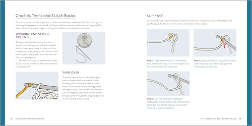 Crochet for Beginners: A Stitch Dictionary with Step-by-Step Illustrations and 10 Easy Projects WoodArtSupply