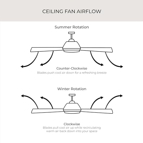 Progress Lighting P250000-129 Springer Collection DC Motor Windmill Farmhouse, 60-Inch, 12-Blade Ceiling Fan, Architectural Bronze Progress Lighting