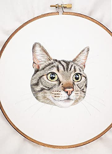 Pet Portrait Embroidery: Lovingly Stitch Your Dog or Cat; A Modern Guide to Thread Painting C&T Publishing