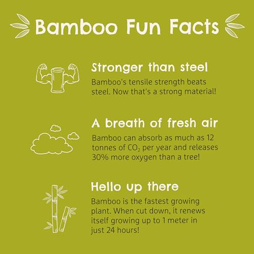 Munchkin® Bambou™ Suction Bowl and Silicone Spoon for Babies and Toddlers, Non-Toxic Bamboo Munchkin