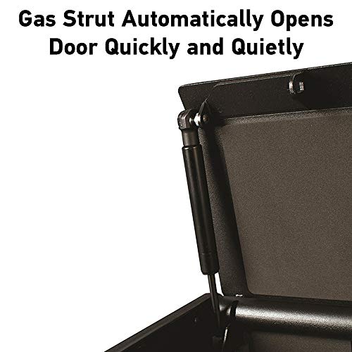 SentrySafe Gun Safe with Interior Light Stores Two Handguns, and a Digital Keypad offers Quick Access to Firearm Storage, Bolt Down Kit, QAP2EL SentrySafe