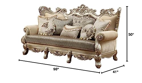 Acme Ranita Fabric Upholstered Sofa in Champagne and Beige Acme