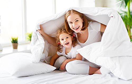 Elegant Comfort 1500 Thread Count Wrinkle & Fade Resistant Egyptian Quality 4-Piece Bed Sheet Set Ultra Soft Luxurious Set includes Flat Sheet, Fitted Sheet and 2 Pillowcases, Twin, Exotic Red Elegant Comfort