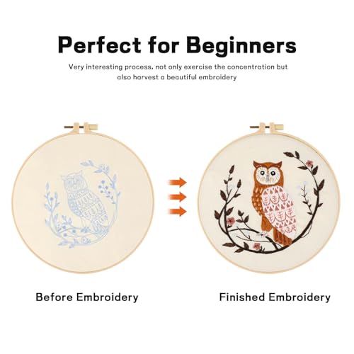 JOINRUN Beginner Embroidery Kit for Adults, Owl Cross Stitch Kits with 7.9" Hoop, Threads, Needles, Learn Stitches with Pre-Printed Patterns, Video Tutorial, DIY Needlework Craft Gift for Women