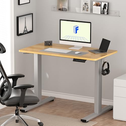 FLEXISPOT Height Adjustable Desk 48 x 30 inch Electric Standing Desk Whole-Piece Desk Board Stand Up Desk for Home Office (Gray Frame + 48" Natural Top) FLEXISPOT