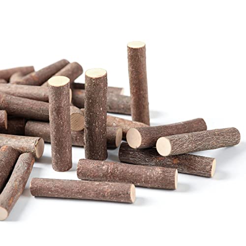 LAZACA Craft Sticks, Wood Sticks Crafting Twigs Crafts Log Toy DIY Vase Fillers Pumpkin Stems Rustic Decorations Ornaments,Loose Parts Play Materials LAZACA
