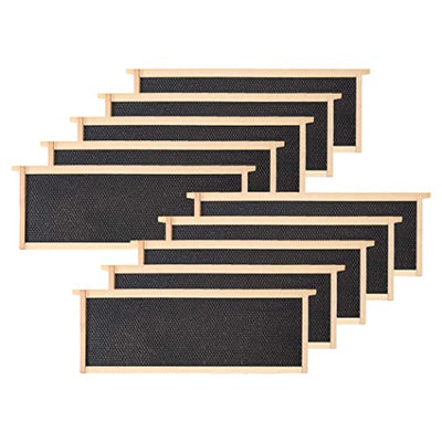 BeeCastle Medium Beehive Frames and Wax Foundations,10 Pack Honey Bee Frames with Wooden Bee Hive Frames and 100% Beeswax Coated Foundations, 6-1/4-Inch (Black)
