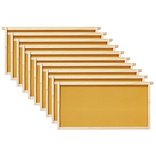 Honey Keeper Complete Deep Hive Body Kit, Painted and Assembled Beehive with 10-Frames, White Honey Keeper