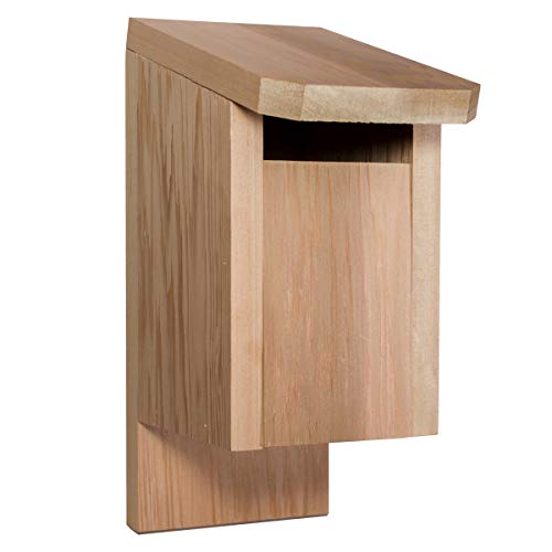 All Things Cedar BH12 Cedar Blue Jay Bird House All Things Cedar