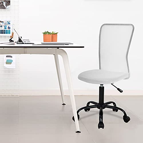 FDW Home Office Chair Mid Back Mesh Desk Chair Armless Computer Ergonomic Task Rolling Swivel Chair Back Support Adjustable Modern with Lumbar Support,White FDW