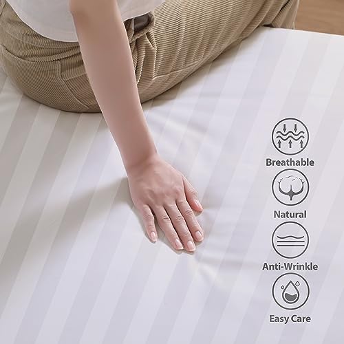 100% Egyptian Cotton Fitted Sheet King Size, 600 Thread Count, Single Fitted Sheet Only,16" Deep Pocket Sheet, Soft & Elastic Sateen Weave Bottom Sheet for Hotel & Home (White-Stripe, King) Zaizaihome