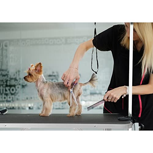 Pet Grooming Table for Large Dogs Adjustable Professional - Portable Trimming Drying Table w/Arm/Noose/Mesh Tray, Maximum Capacity Up to 330LB Haige Pet Your Pet Nanny