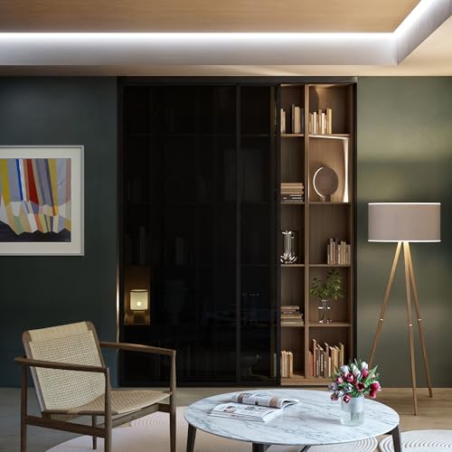 Doors55 Glass Room Divider and Sliding Glass Closet Doors - Smoked Frosted Partition Wall - Clear, Smoked and Frosted Glass Sliding Doors Options (Smoked Glass, 60x80) Doors55