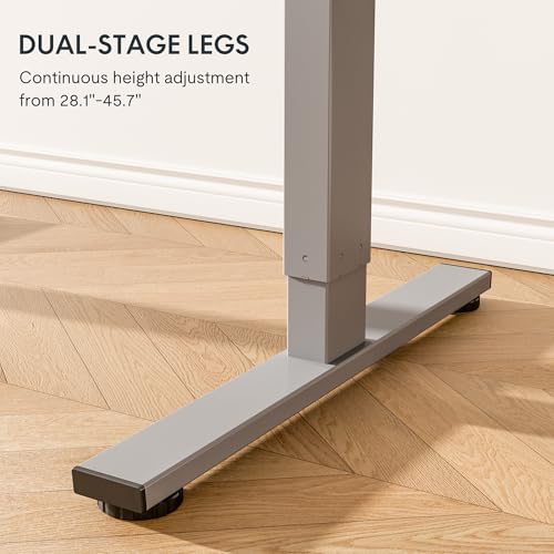 FLEXISPOT Height Adjustable Desk 48 x 30 inch Electric Standing Desk Whole-Piece Desk Board Stand Up Desk for Home Office (Gray Frame + 48" Natural Top) FLEXISPOT
