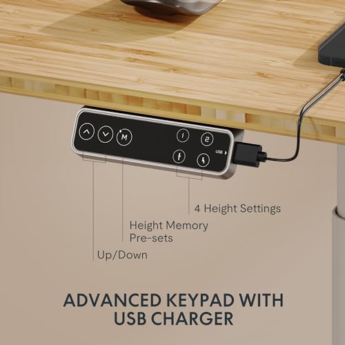 FLEXISPOT E6 Pro Oval Leg Dual Motor 3 Stages Bamboo Electric Standing Desk 55x28 Inch Whole-Piece Board Height Adjustable Electric Sit Stand Up Desk (White Frame + Bamboo Desktop) FLEXISPOT