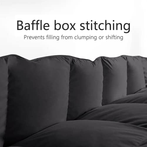TEXARTIST Premium 2100 Series Queen Comforter All Season Breathable Black Comforter Soft 4D Spiral Fiber Quilted Down Alternative Duvet Insert with Corner Tabs Luxury Hotel Style (88"x88") TEXARTIST