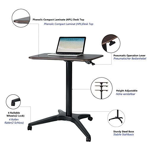 CARTMAY Mobile Standing Desk,Pneumatic Height Adjustable Laptop Desk, Mobile Laptop Desk with Wheels, Height Adjustable from 29.5'' to 47'',Black CARTMAY