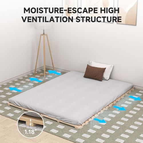 DoCred Solid Pine Wood Foldable Slatted Bed, Japanese Floor Bed Frame Moisture-Proof, Beds Plate for Japanese Floor Futon Mattress, Guest Tatami Mat, Floor Sleep Bedding, Queen DoCred