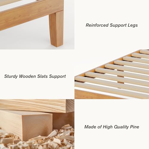 Sweetcrispy Solid Wood Bed Frame, Queen Size Bed Base with Wood Slat Support, Sturdy, Stylish & Noise-Free Design, No Box Spring Needed, Easy Assembly, 12 in Natural Pine Sweetcrispy