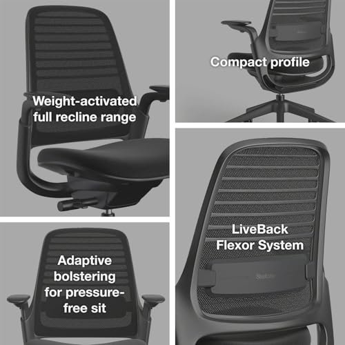 Steelcase Series 1 Office Chair - Ergonomic Work Chair with Wheels for Carpet - Helps Support Productivity - Weight-Activated Controls, Back Supports & Arm Support - Easy Assembly - Graphite, Light Steelcase