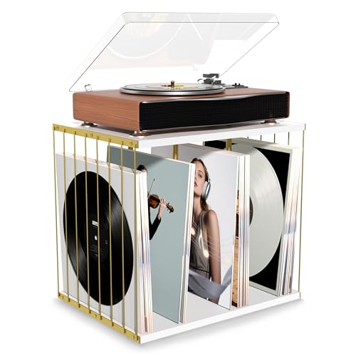 Emfogo Vinyl Record Storage, Metal & Wooden Vinyl Record Holder Up to 80 Album, 3-Compartment Record Player Stand for Magazine, Book, Files, Albums (White) Emfogo