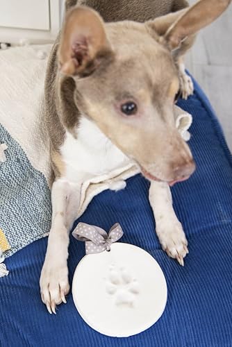 Pearhead Pet Paw Print Keepsake Ornament Kit, Memorial Clay Paw Impression for Dogs & Cats, DIY Hanging Pet Memorial with Ribbons, Pet Keepsake Gift