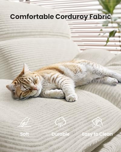 Amada Convertible Futon Sofa Bed - Corduroy Loveseat with Adjustable Backrest & Armrests, Thickened Seat Cushion, Small Space Sleeper Couch for Apartment, Study Room & Office(Off-White,66 Inch ) AMADA HOMEFURNISHING