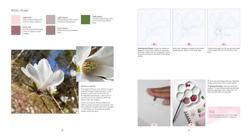 How to Paint Transparent Watercolour Flowers WoodArtSupply