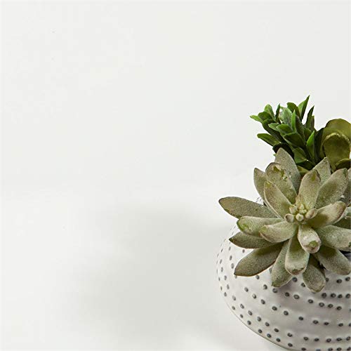 Tvilum 2 Drawer Bedroom Nighstand, White Tvilum