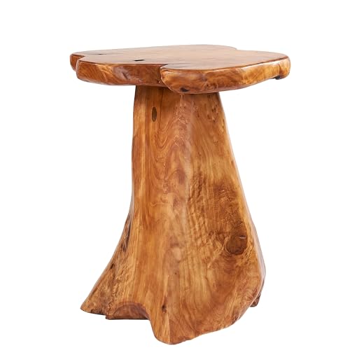 Warmaxx Natural Irregular Shape Tree Stump End Table Plant Stand 14"x13"x18"H Solid Cedar Wood Outdoor Rustic Sit Foot Stools Live Edge Coffee Side Table Living Room Bedroom Outdoor Garden Warmaxx