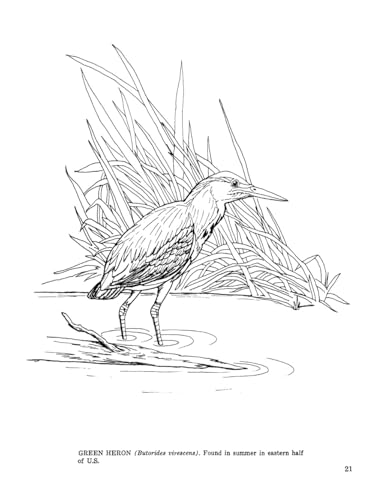 Fifty Favorite Birds Coloring Book (Dover Animal Coloring Books) Dover Publications