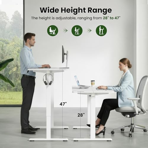 Casaphoria 48 x 24 inches Electric Standing Desk, Sit to Stand Desk with Memory Height Adjustment, Home Office Computer Desk for Writing and Games, White Casaphoria