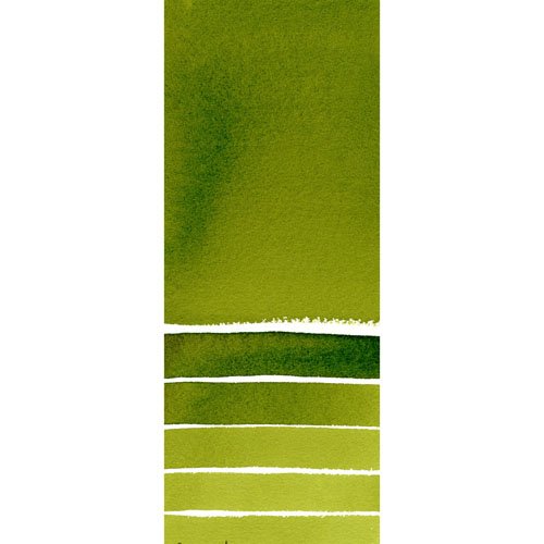 Daniel Smith Extra Fine Watercolor 15ml Paint Tube, Sap Green (284600102), 0.5 Fl Oz (Pack of 1) DANIEL SMITH