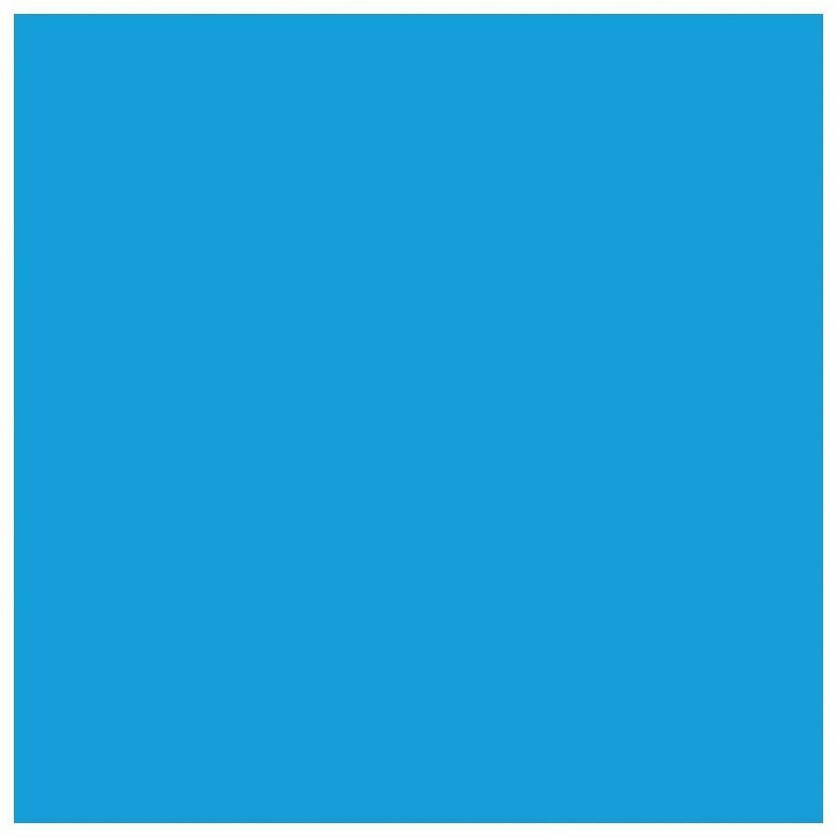 EPSON 288 DURABrite Ultra Ink Standard Capacity Cyan Cartridge (T288220-S) Works with Expression XP-330, XP-430, XP-434, XP-340, XP-440, XP-446 Epson