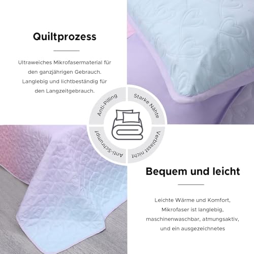 SCHNAUZER HOME Quilt Set Full Queen Size 3 Piece, Bailey Pattern Printed Bedding Coverlet Set, Lightweight Soft Reversible Bedspread Sets for All Season (1 Quilt & 2 Pillow Shams) SCHNAUZER HOME